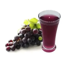 Suco Fruitz UVA 900 ml